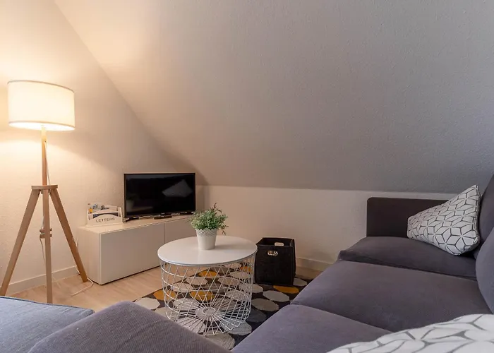 Strandaster * Sankt Peter-Ording